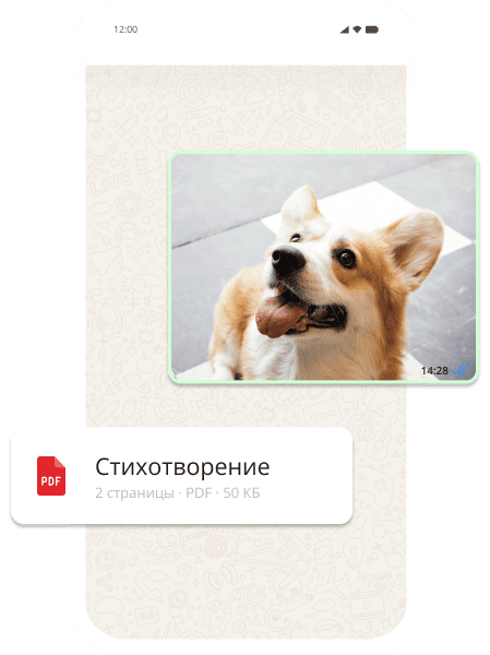 Function image